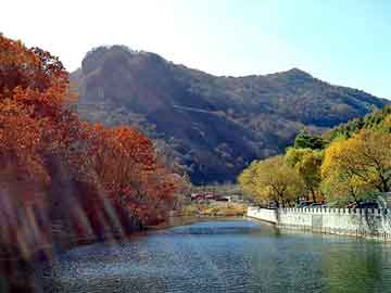 新澳天天开奖资料大全旅游团，舒尼通